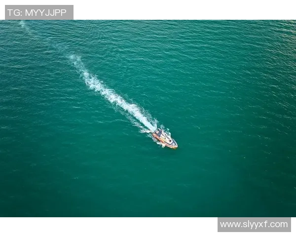 极限运动新手必看团队协作技巧与入门指南全解析